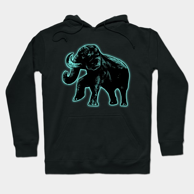 Elephant Light4 Hoodie by barmalisiRTB